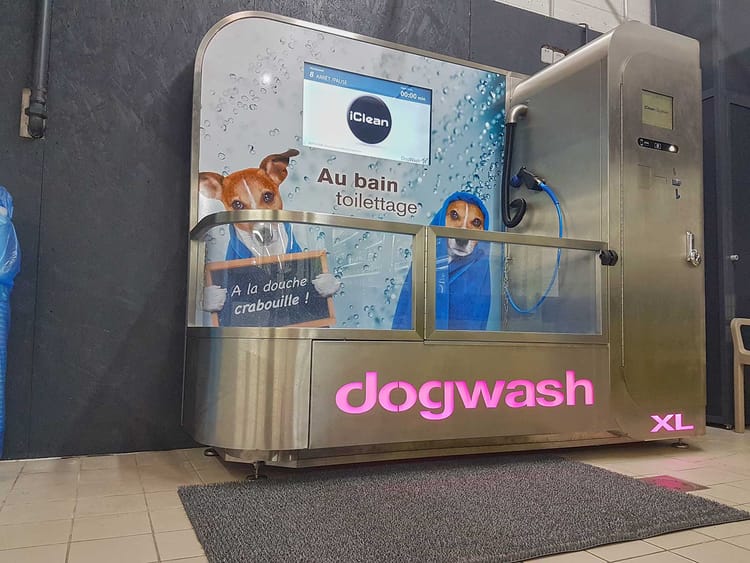 Stations de lavage pour animaux : le business qui arrive en France